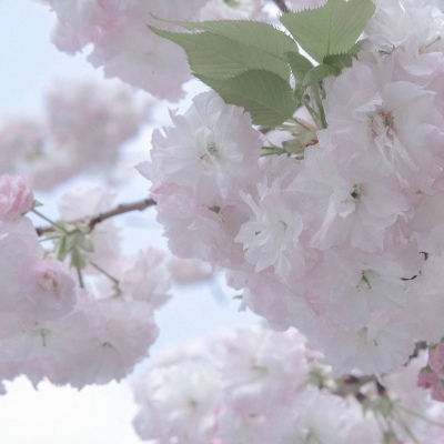 Furry绘画避坑实用指南FurryQQ群